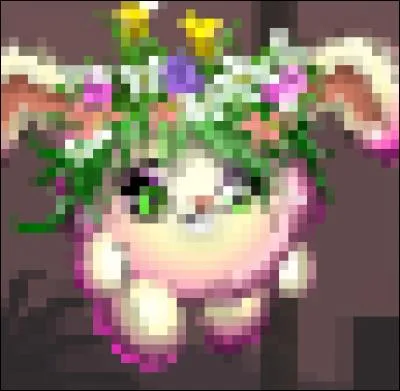 Quel est le petpet au niveau le plus élevé sur MSP ?