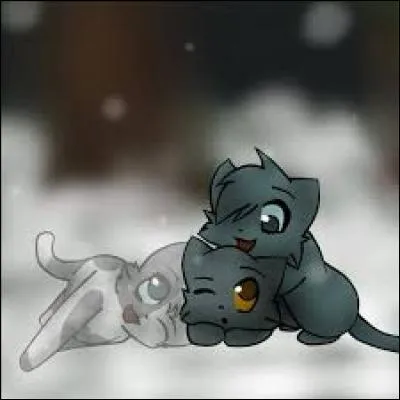 Qui sont les petits d'Étoile Bleue ?