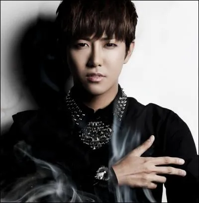 Qui est ce chanteur ?