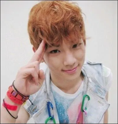 Qui est ce chanteur ?