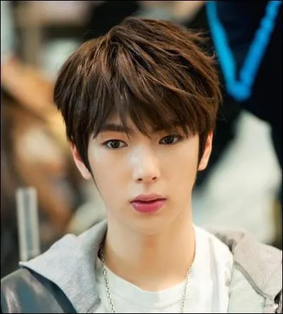 Qui est ce chanteur ?