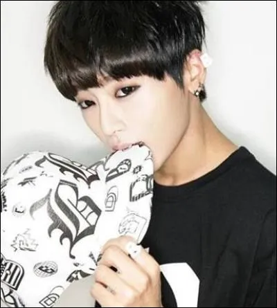 Qui est ce chanteur ?