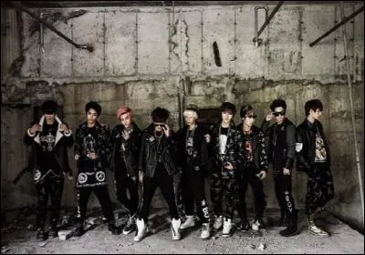 Quel est ce groupe ?