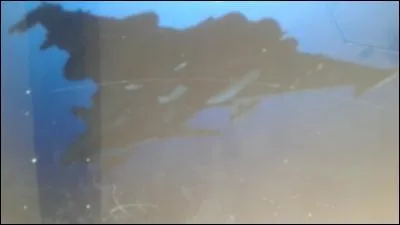 Quel est le plus performant avion de l'armée de l'air français ?