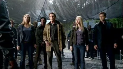 Quelle est cette série avec Anna Torv ?