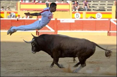 Que fait la personne qui appara&icirc;t dans la photo ?