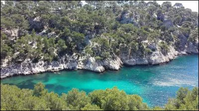 Si je vous dis "ce quiz est fini", vous me répondrez...