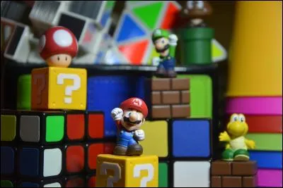 Pourquoi Mario Bros ?