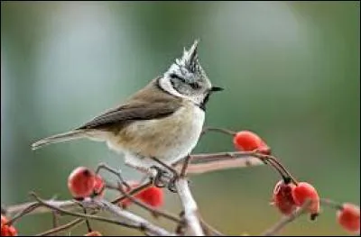 Côté d'un navire frappé par le vent :