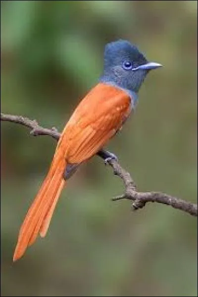 Vaste étendue d'eau douce au cur des terres :