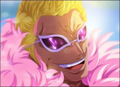 Qui a battu Doflamingo ?