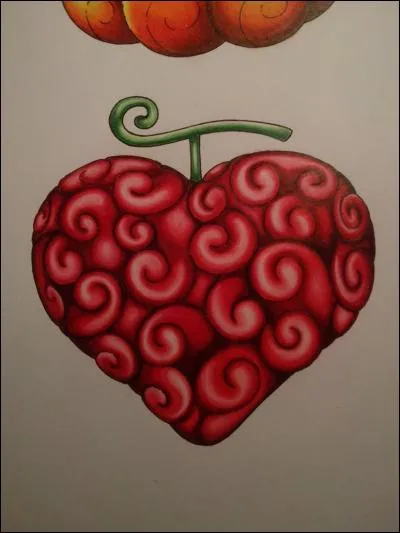 Trafalgar.D.Water Law a mangé quel fruit du démon ?