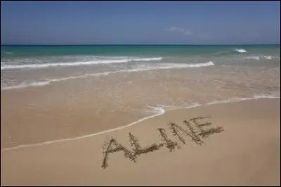 Qui chantait " Son doux visage qui me souriait, puis il a plu sur cette plage, dans cet orage, elle a disparu..." ?
