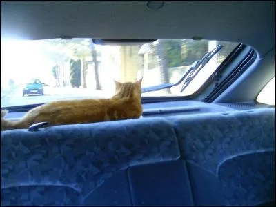 Mais sur quelle plage est-il ?