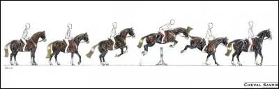 Le mécanisme du saut est :