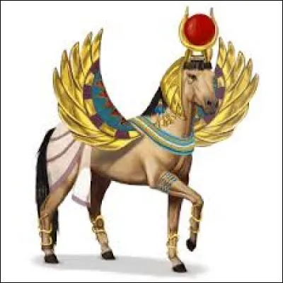 Quelle est l'espèce de ce cheval ?