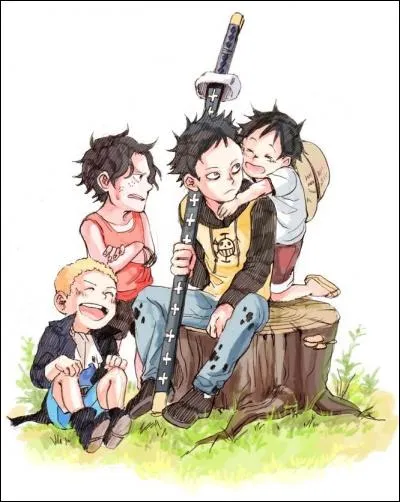 Sur quelle partie de son visage Jinbei a-t-il une cicatrice ?