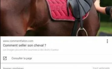 Quiz Galop 1