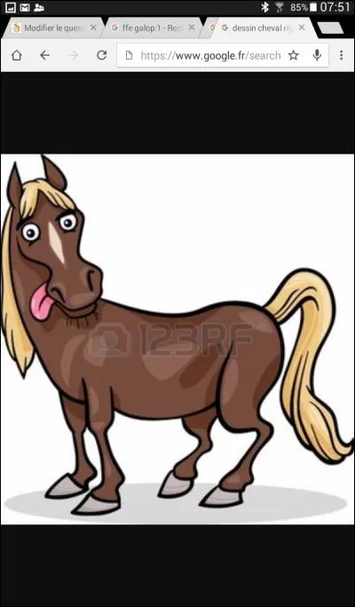 Le cheval n'est pas intelligent. Vrai ou faux ?