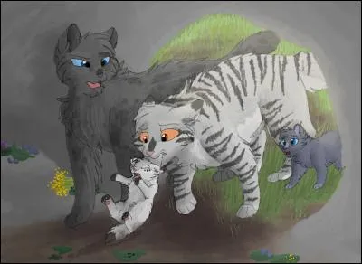 Quelle bêtise ont faite ces chatonnes et comment se nomment-elles ?