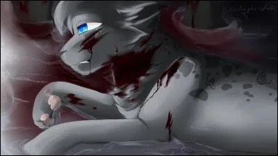 Quelle mort est représentée sur cette image ?