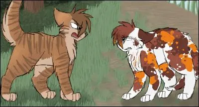 Que se passe-t-il sur celle-ci ?