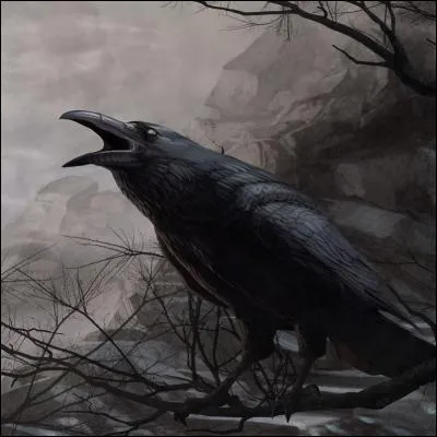 Que symbolise la Corneille ?