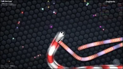 Que se passe-t-il si un serpent A fonce frontalement dans le côté d'un serpent B ?