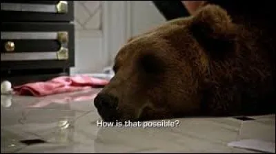 Dans quel arrondissement de Paris y a-t-il des ours en libert&eacute; ?