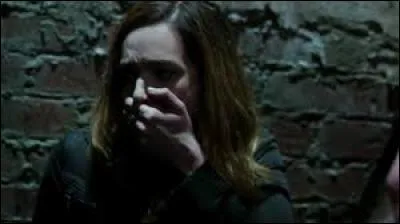 Qu'ont-ils d&eacute;velopp&eacute; ?