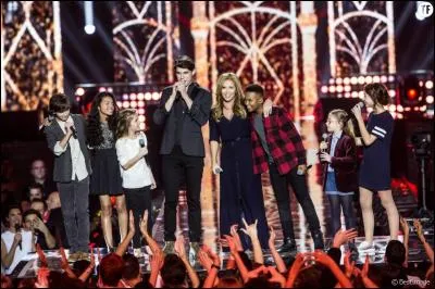 Quelle chanson ont-ils chantée pour les 30 ans de Bercy sur TF1 ?