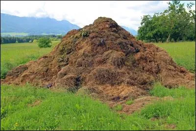 Quel est le meilleur type de fumier pour planter ses légumes ?