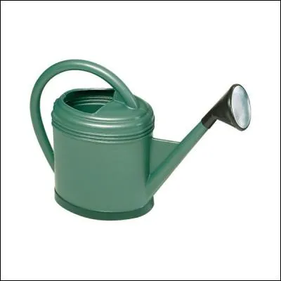 Mon jardin est situé en zone humide, quand est-il préférable d'arroser ?