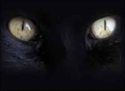 À qui ce regard appartient-il ?