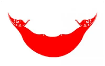 Ce drapeau représente :