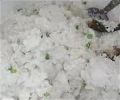 Le taioro est réalisé avec la chair de la noix de coco mûre, rapée et fermentée avec un peu d'eau, et du jus de tête de chevrette ou de petits crabes de plage.