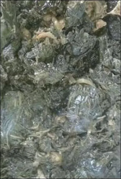 De quoi est composé traditionnellement le pua'a fafa ?