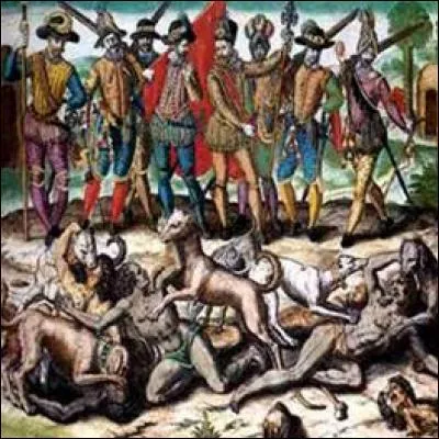 Qu'arrive-t-il aux survivants ?