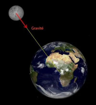 Nous sommes actuellement influencés par la force gravitationnelle. Est-ce vrai ou faux ?