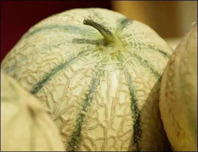 En parlant de fruits, quelle vari&eacute;t&eacute; de melons b&eacute;n&eacute;ficie d'une indication g&eacute;ographique prot&eacute;g&eacute;e (IGP) ?