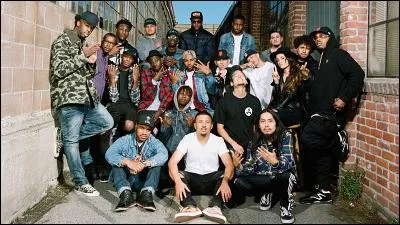 De quel groupe fait-elle partie ?