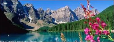 Laquelle de ces phrases est un exemple de phrase que l'on utilise dans la vie courante ?