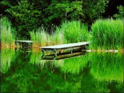 Dans quel pays le Printemps des Poètes ne se déroule-t-il pas ?