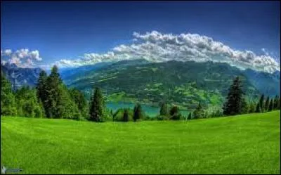 Où l'opération Frühlingserwachen fut-elle lancée ?