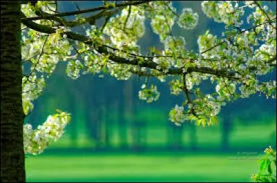 Quel mois du printemps est connu pour ses giboulées ?