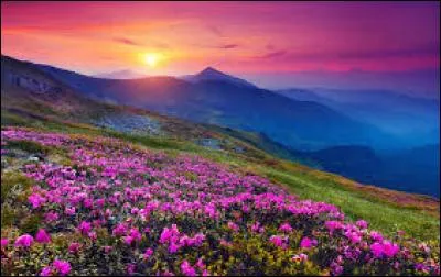 Quel groupe nominal désigne le "printemps sacré" ?