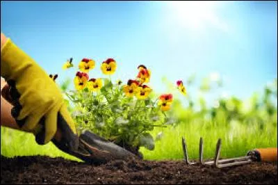 "Plantation" se dit...