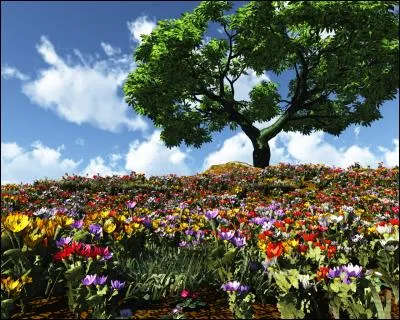 Quelle est la traduction de "printanier" ?