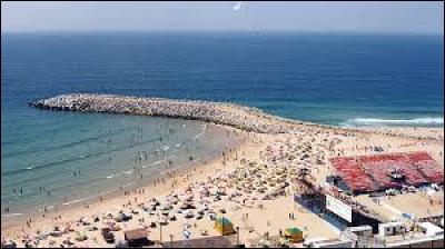 Qu'accueille de tr&egrave;s c&eacute;l&egrave;bre la ville d'Espinho ?