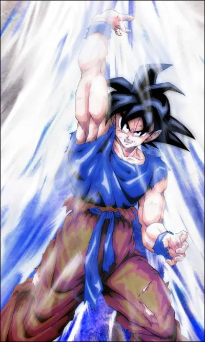 Ce n'est pas un Pokémon et il ne fait pas partie de l'animé ! Dites-moi qui il est et de quel animé il vient ?